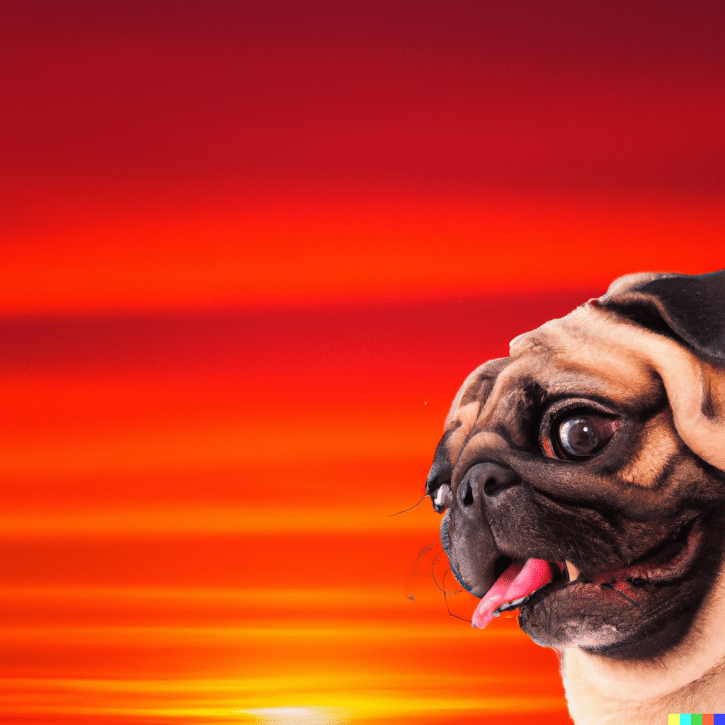 Pug1